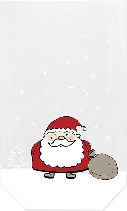 Braun + Company Weihnachtsmann (Geschenkbox, 10 x)