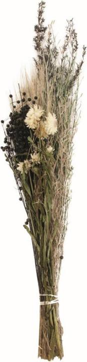 Image du produit Dijk Bouquet de fleurs séchées (Fleurs séchées, 1x)