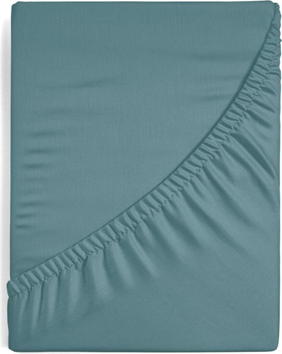 Image du produit Eurofirany By (220 x 200 cm)