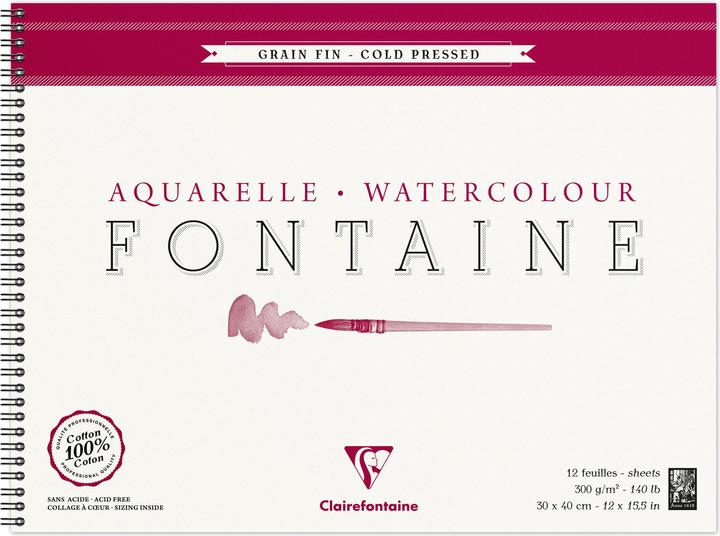 Produktbild Clairefontaine Feuchte Techniken (300 g/m², 105 x)