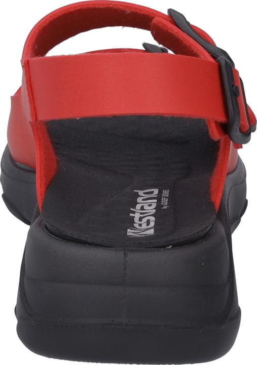 Produktbild Westland 19806-481 (37)