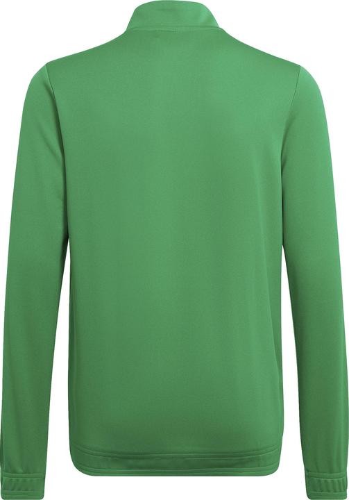 Actual product image adidas Entrada 22 training jacket kids (176)