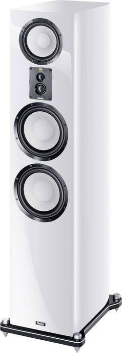 Image du produit Magnat Signature 809 (1 paire)