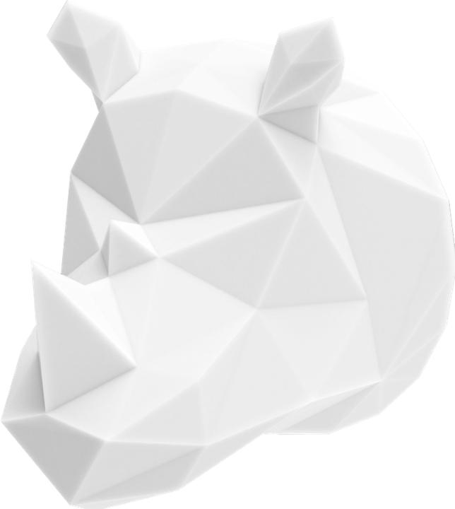 Actual product image Mobility on Board Rhino