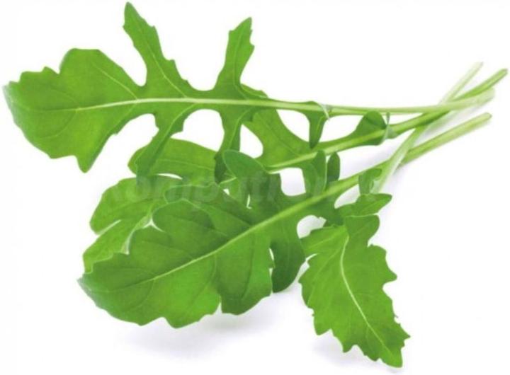 Actual product image Click and Grow Arugula (Vegetable seeds)