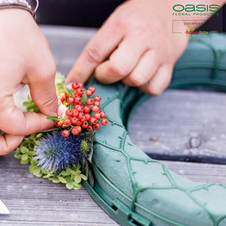 Produktbild Oasis IDEAL Universal Ring