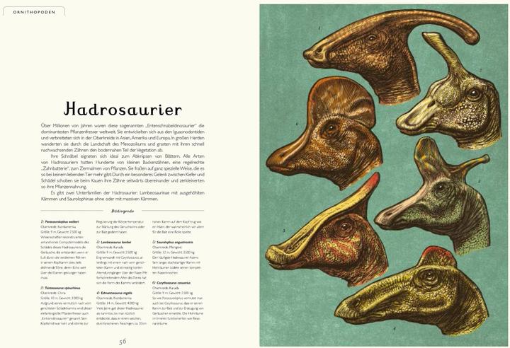 Produktbild Das Museum der Dinosaurier (Deutsch, Chris Wormell, Lily Murray, 2017)