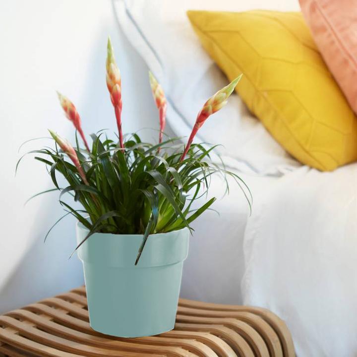 Produktbild Elho Blumentopf (16.50 x 18 cm)