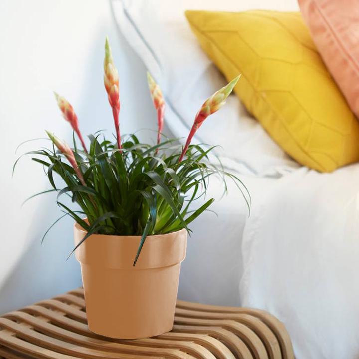 Produktbild Elho Blumentopf