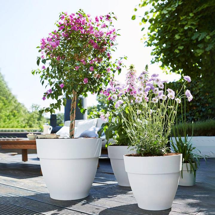 Actual product image Elho Plant Pot (21 cm)