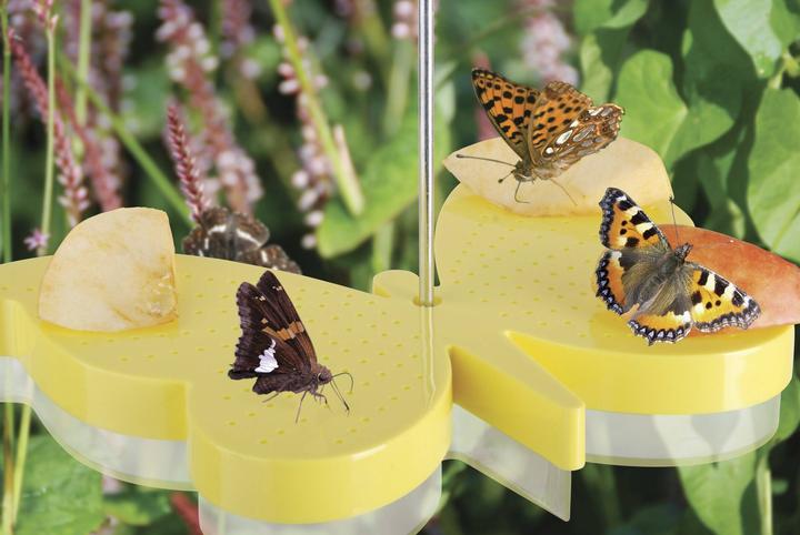 Produktbild Best for Birds 2 in 1 Futterschale und Tränke für Schmetterlinge