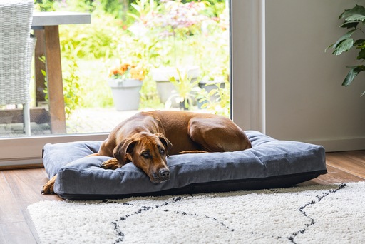 Immagine prodotto Beeztees Cuscino ortopedico per divano Veo (Cane)