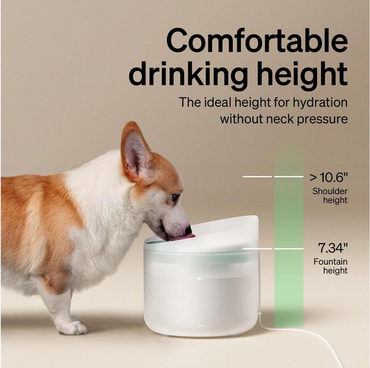 Produktbild Petlibro Hunde-Trinkbrunnen (800 cl)