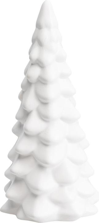 Produktbild pfister Mystic Forest