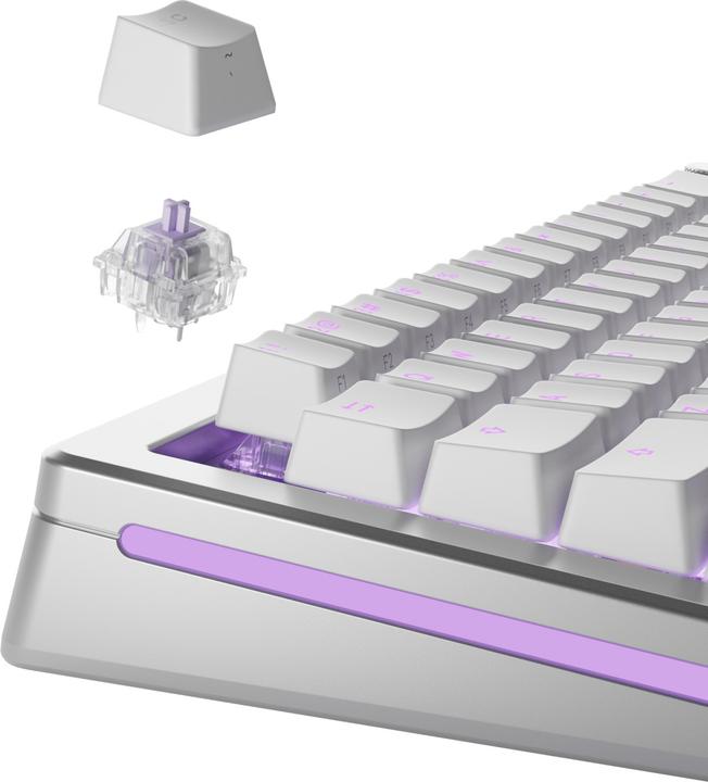 Productafbeelding Glorious Mechanische schakelaars (110st) - Mako Ultralight - (Tactiel) 40g