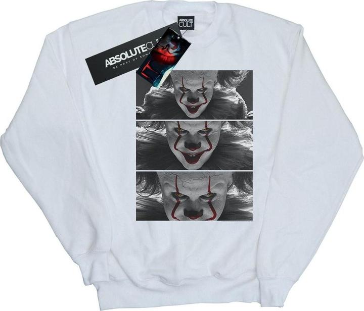 Actual product image Universal Textiles Womens/Ladies Pennywise Photo Close-Up Sweatshirt (M)