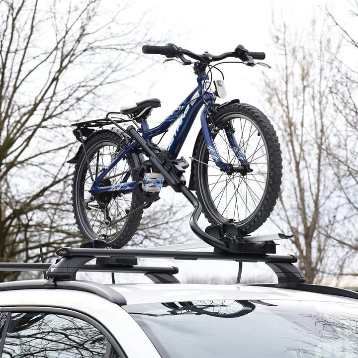 Immagine prodotto Farad Pesio