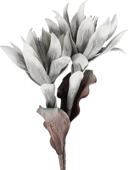 Produktbild EGLO LIVING Molave (28 cm)