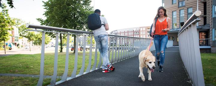 Image du produit Rivacase Village alpin 7560