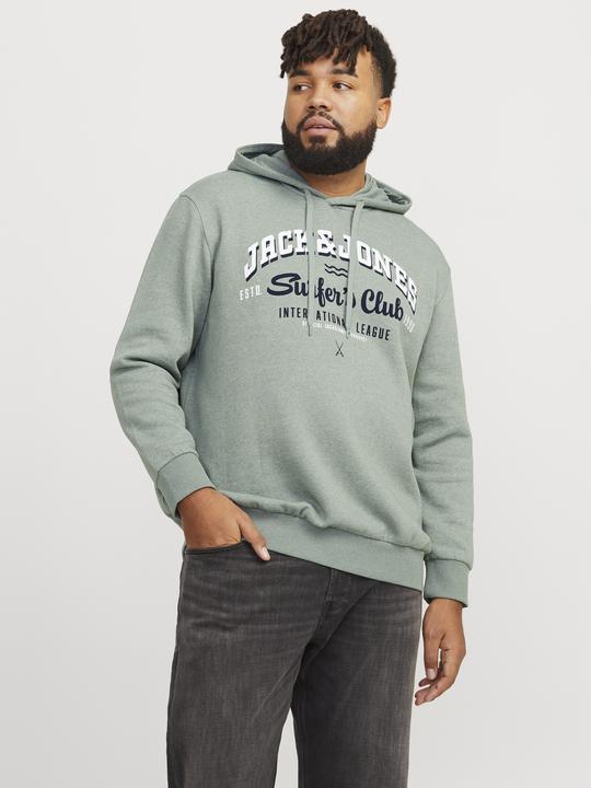 Produktbild Jack & Jones JJELOGO SWEAT HOOD 2 COL 24/25 NOOS PLS (6XL)