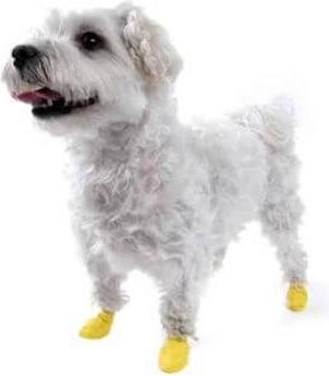 Produktbild Pawz Pfotenschutz (XXS, Hundeschuhe)