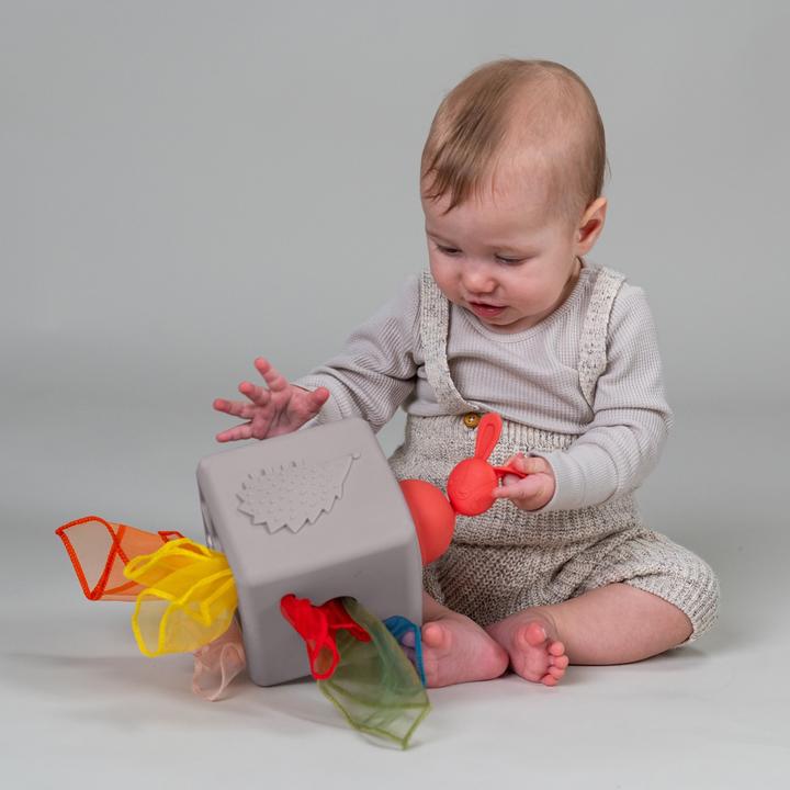 Actual product image Taf Toys Wipes box Pop Up