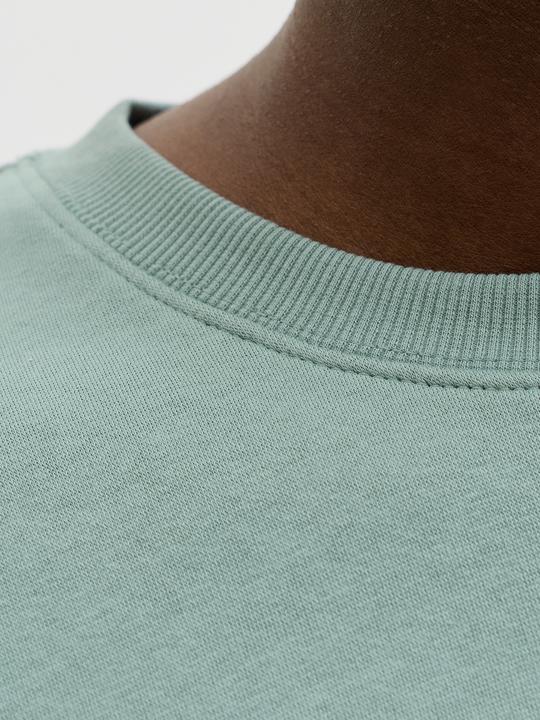 Actual product image Jack & Jones Jjestar Basic Sweat Crew Neck Noos (M)