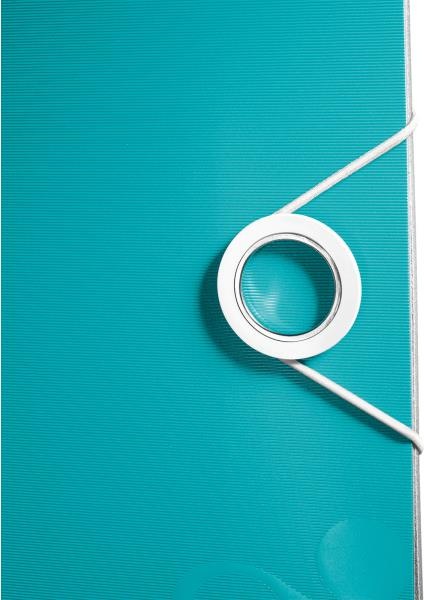 Actual product image Leitz Wow (A4, 65 mm, 1 x)