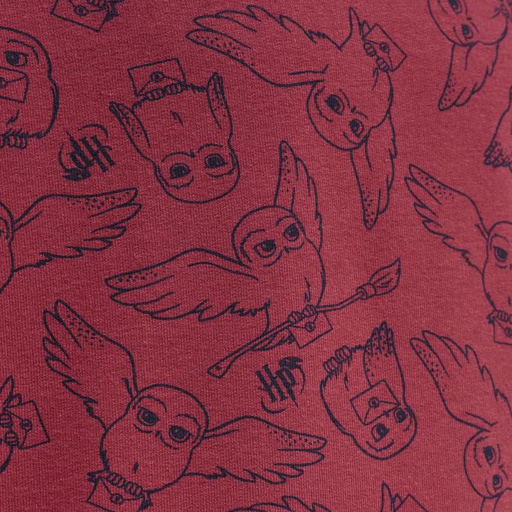 Image du produit hummel Hmlharry Potter Aop Hoodie (116)