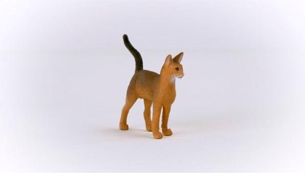 Actual product image Schleich Abyssinian cat