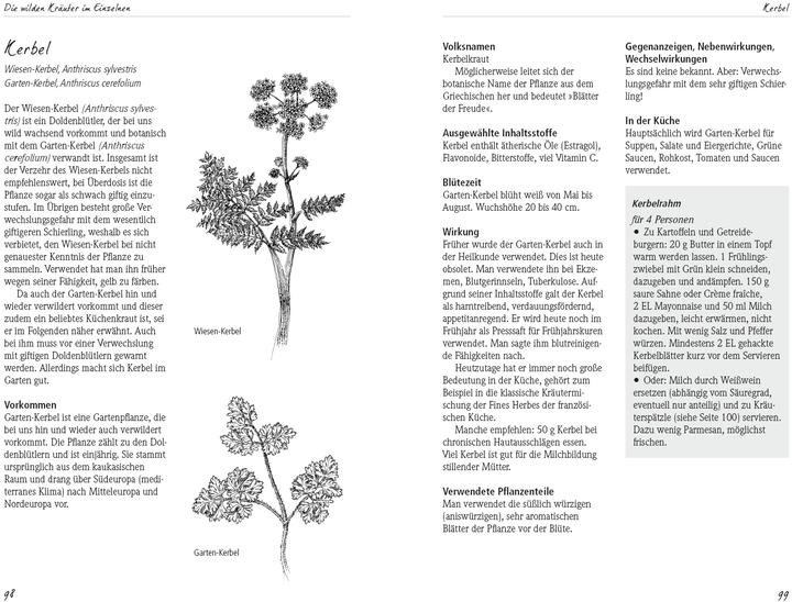 Produktbild Aus dem Reich der wilden Kräuter (Deutsch, Christina Mann, Friedhelm Strickler, Heidi Janicek, 2013)