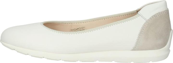 Image du produit Ara Sardinia (40)