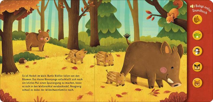 Actual product image Hör mal, so klingt der Wald! (German)