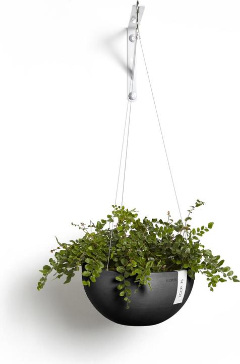 Immagine prodotto Ecopots Hanging Brussels (27 cm)