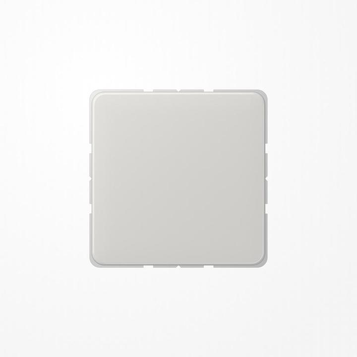 Actual product image JUNG CD594-0LG Blind cover