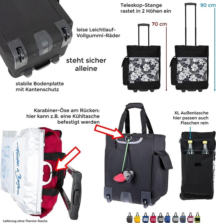 Produktbild Alessandro Einkaufsroller 12894 Tt Green