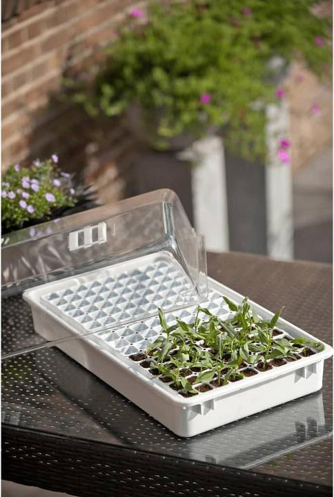 Produktbild Nature Gewächshaus