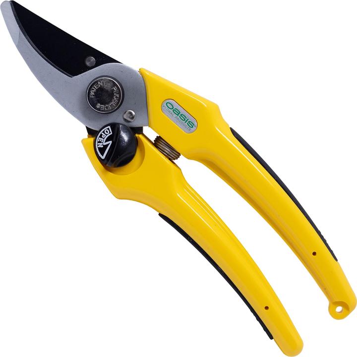 Actual product image Oasis Professional florist scissors