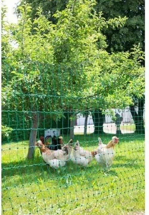 Produktbild Kerbl PoultryNet