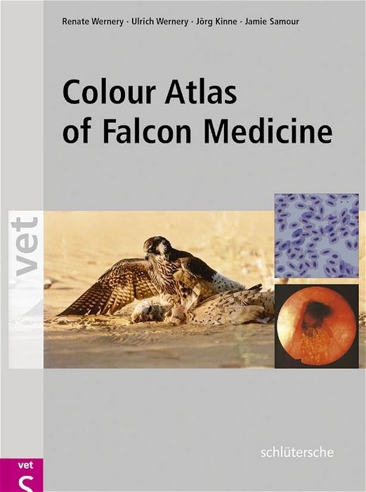 Produktbild Colour Atlas of Falcon Medicine (Englisch, Jaime Samour, Jörg Kinne, Renate Wernery, Ulrich Wernery, 2004)