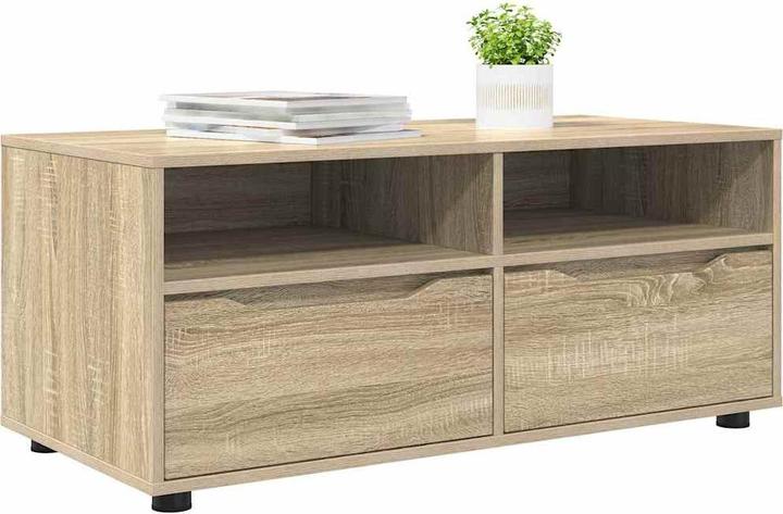 Actual product image vidaXL TV-Schränk (48 x 100 x 43 cm)