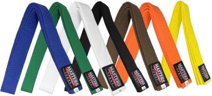 Actual product image Masters kimono belt