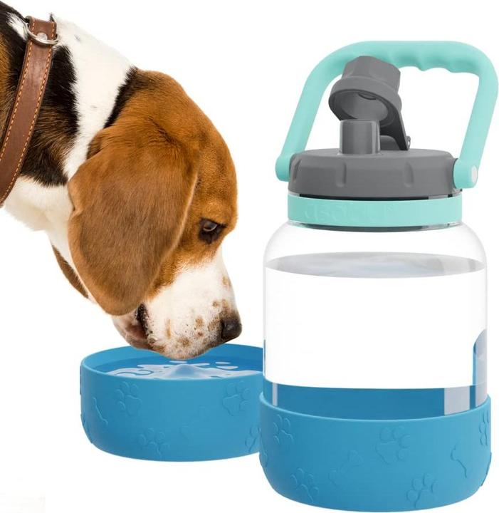 Actual product image Asobu The Barkely Bowl Bottle - Blue - (84259104616) (150 cl)