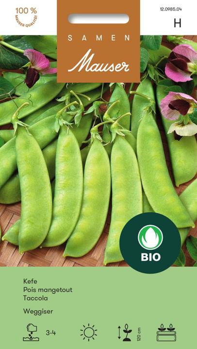 Image du produit Samen Mauser Bourgeon Bio Weggiser (Graines de légumes)