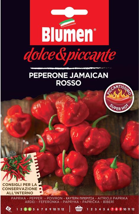 Immagine prodotto Blumen Pepe giamaicano rosso (Semi di verdura)