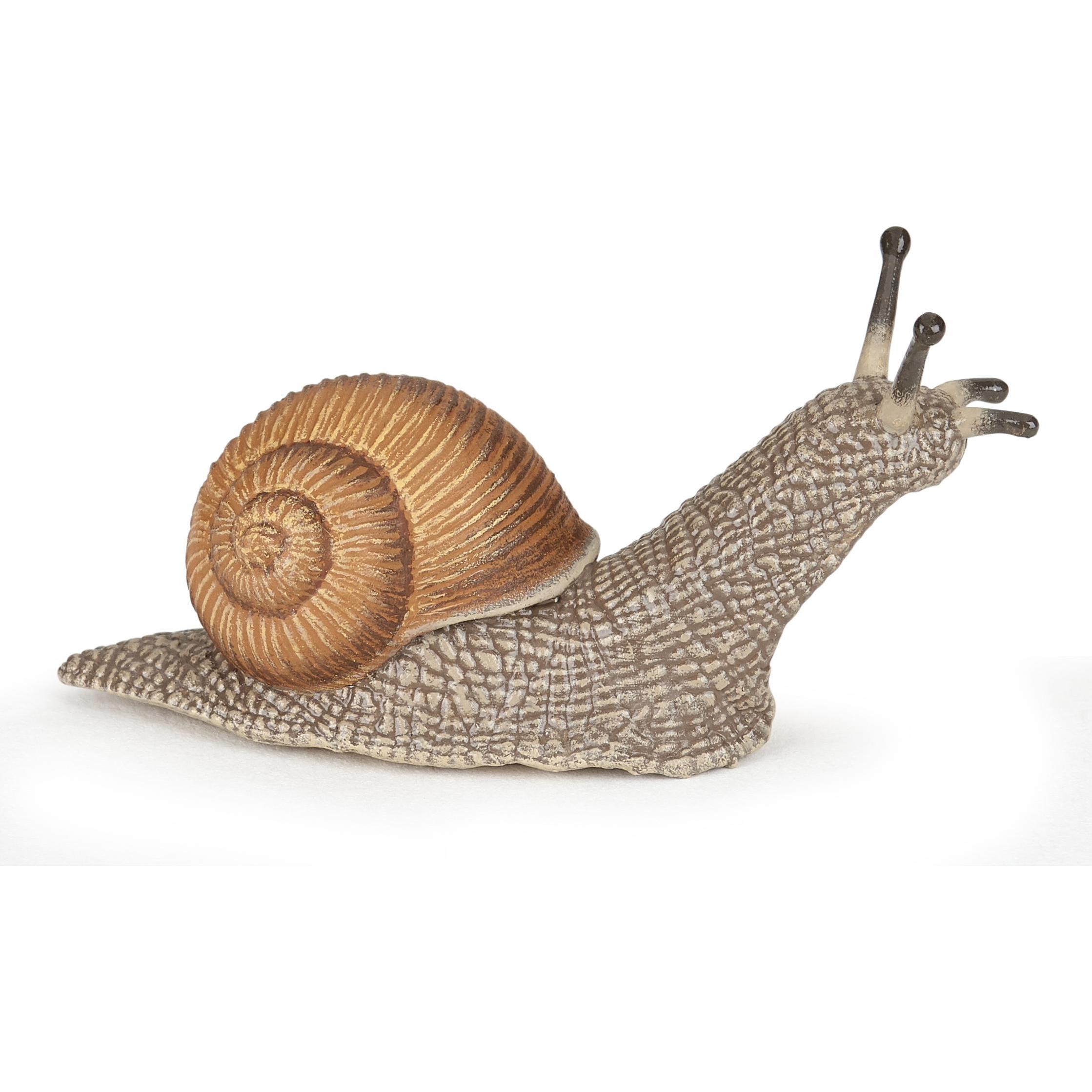 Papo Schnecke