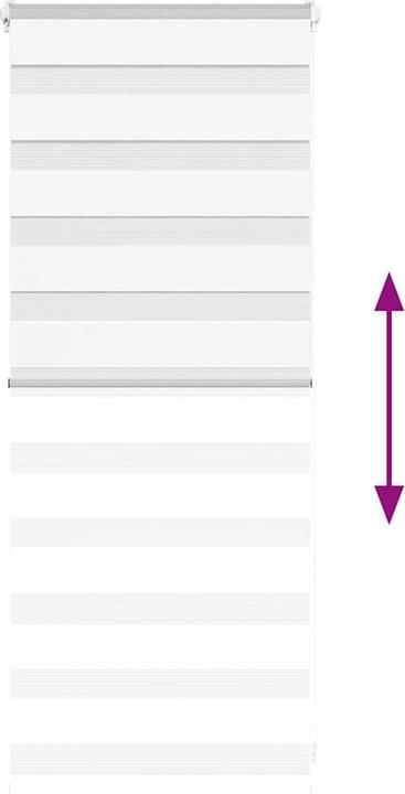 Produktbild vidaXL Zebra-Jalousie (60 x 100 cm)