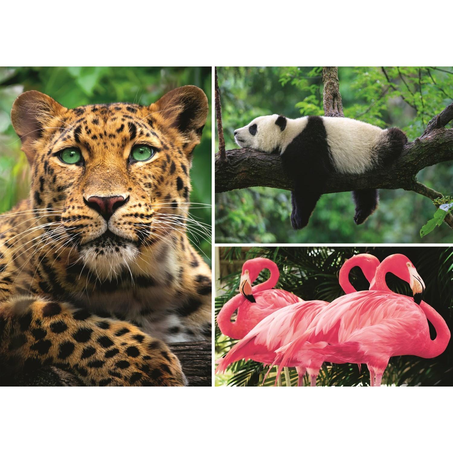 Thumbnail - Trefl Puzzle Tiere - Collage 1000 Teile EKO (1000 Teile)