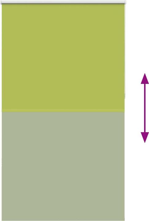 Actual product image vidaXL Verdunkelungsrollo (140 x 210 cm)