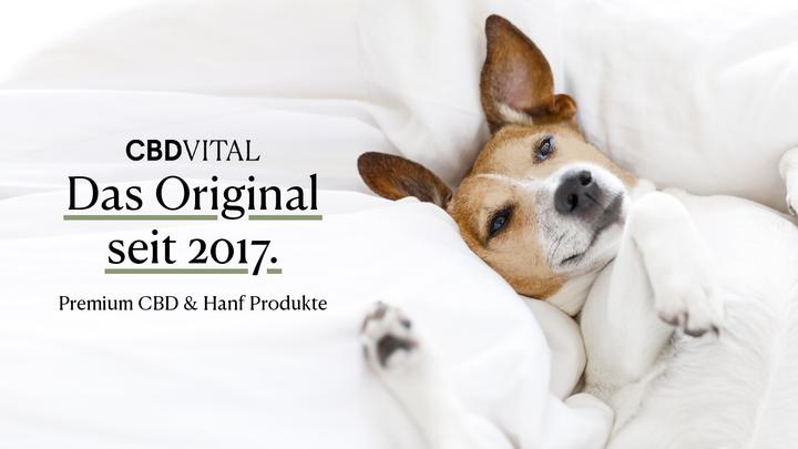 Produktbild CBD Vital CBD Hanföl für Hunde (1 Stk.)